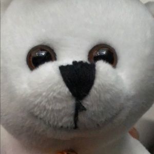 Meet your Posher, Isaiah